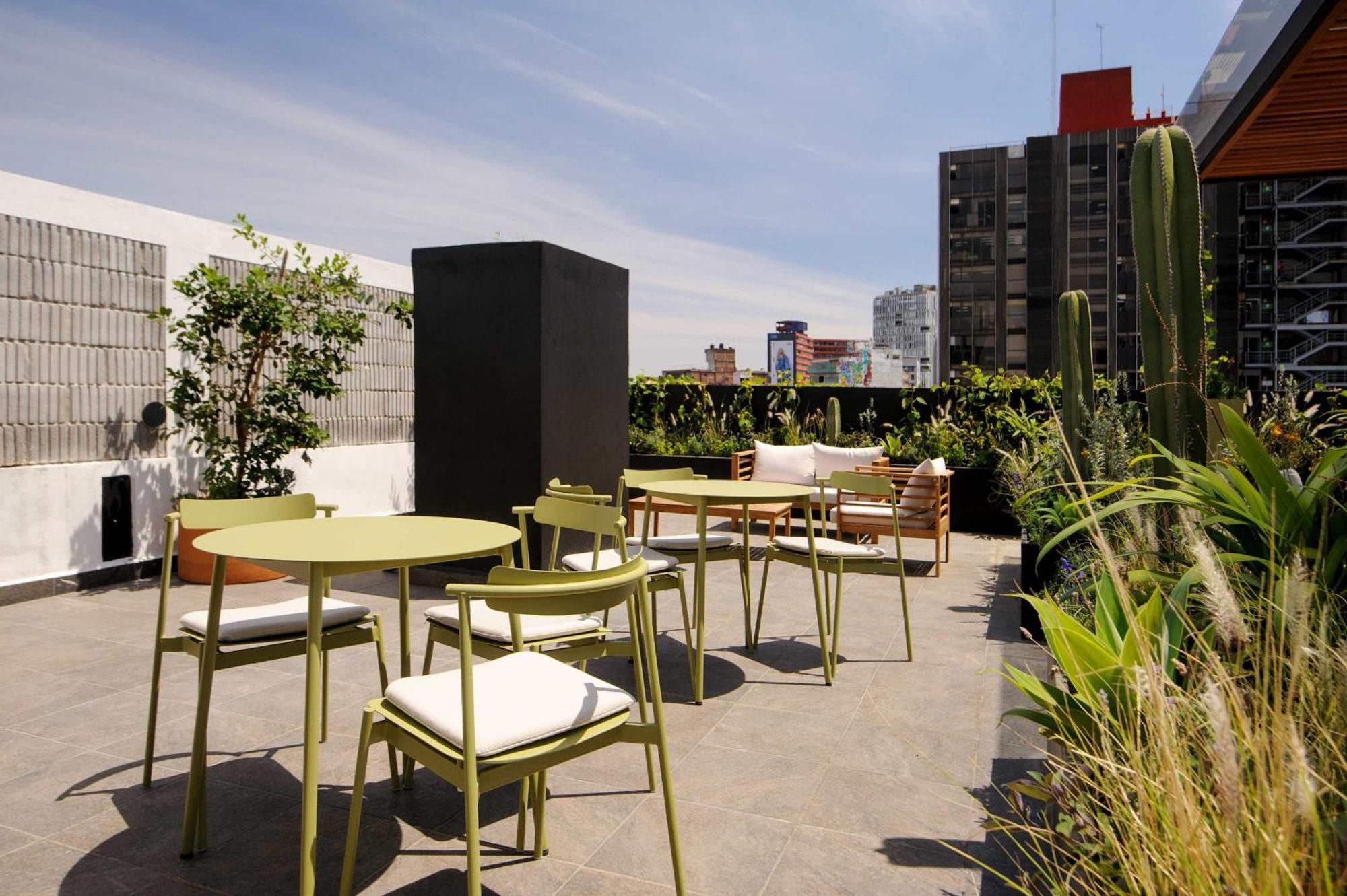 Colima 340 By Wynwood House * Mexico City